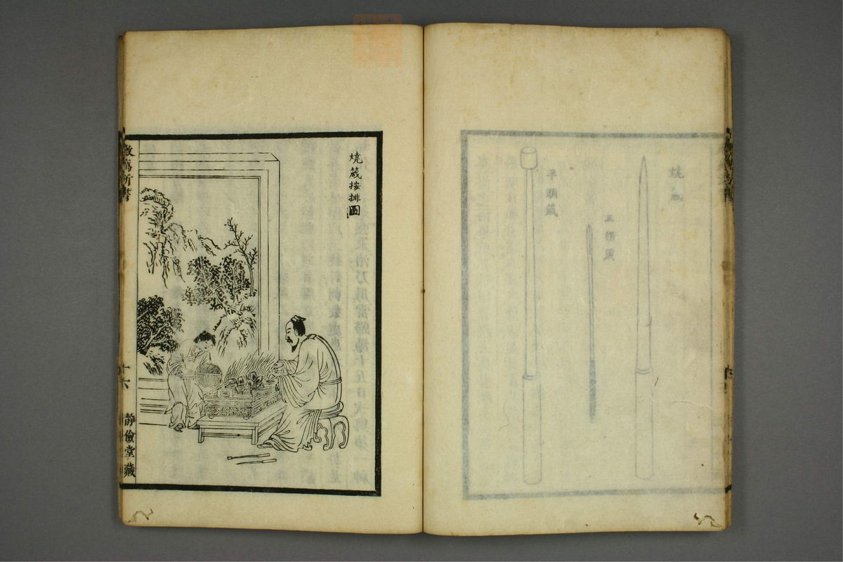 霉疠新书(第20页)