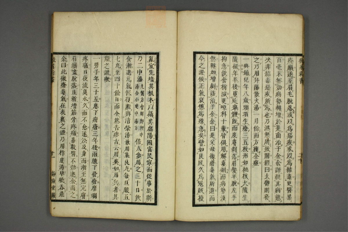 霉疠新书(第25页)