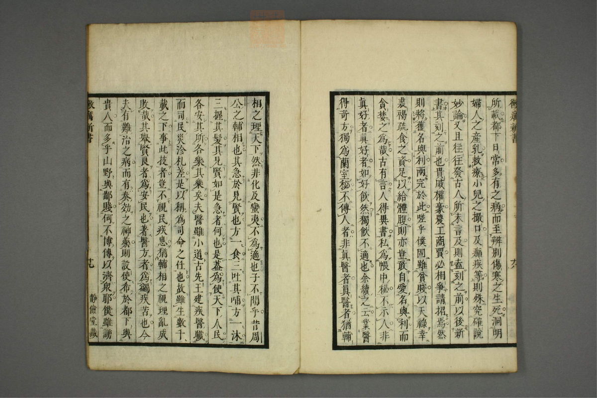 霉疠新书(第33页)