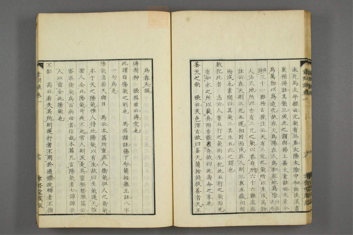 素问识(第40页)