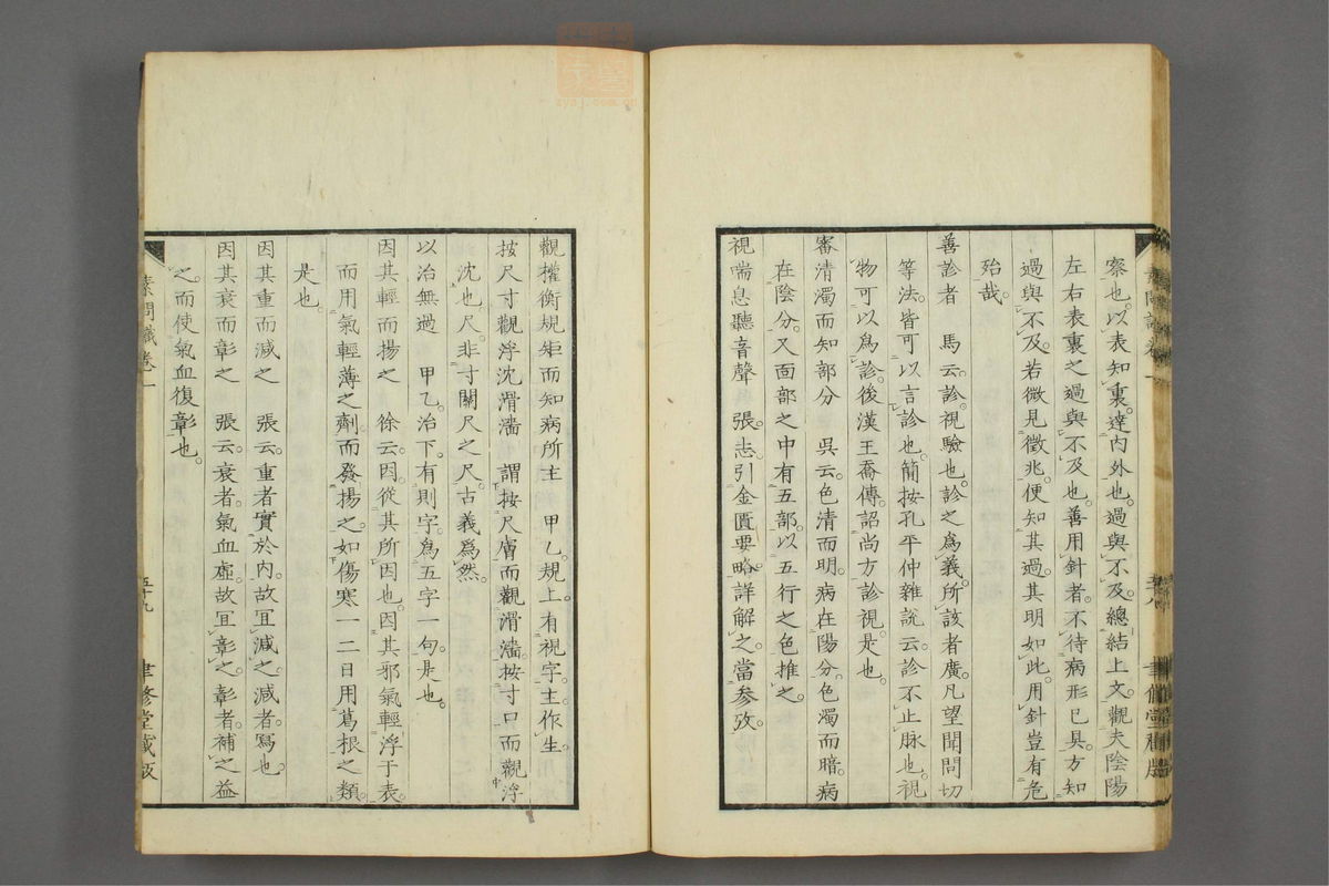 素问识(第86页)