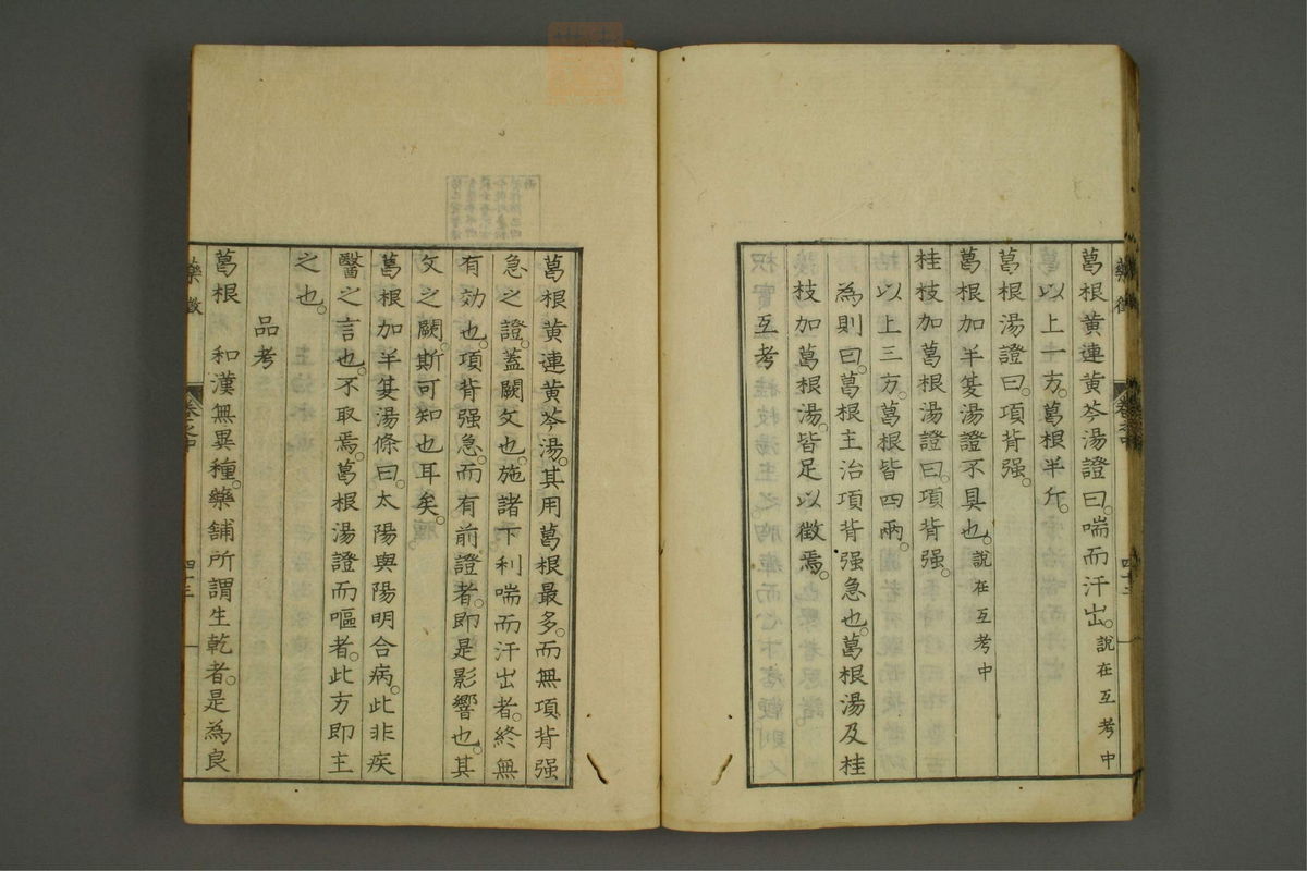 药征(第89页)