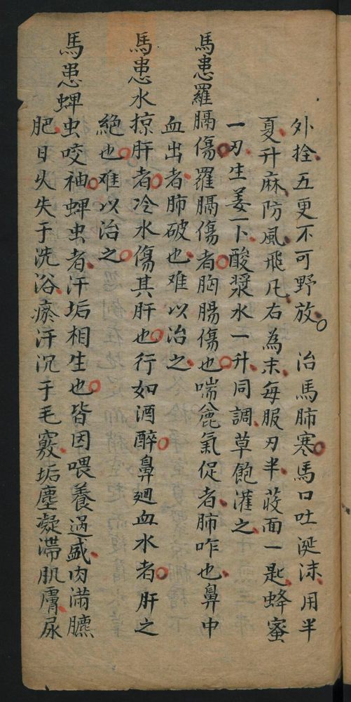 医马经(第17页)