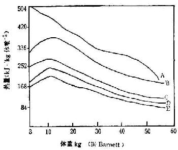 儿童时期热量需要