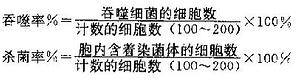 琼脂糖平皿法打孔谱型