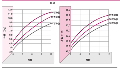 婴儿第一年(男)