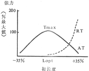 骨骼肌的长度~张力曲线