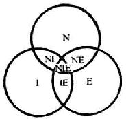 神经(N)、免疫(I)和内分泌(E)系统的关系
