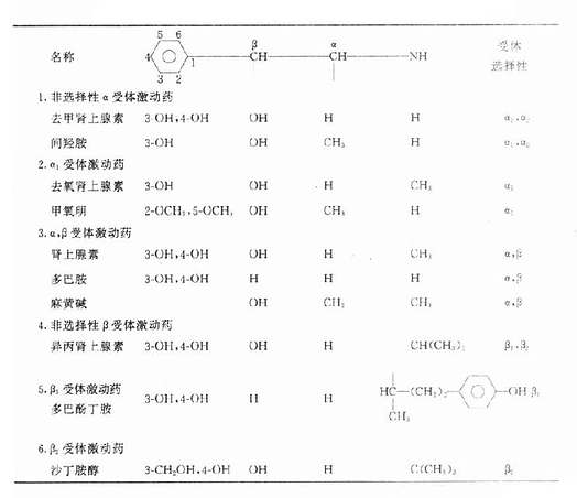 β-苯乙胺 儿茶酚