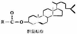 胆甾醇