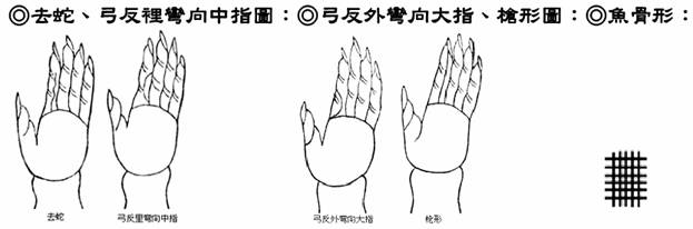 去蛇、弓反裡彎向中指圖;弓反外彎向大指、槍形圖;魚骨形: