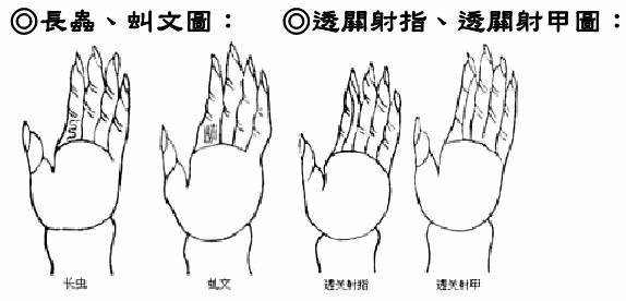 長蟲、虯文圖;透關射指、透關射甲圖